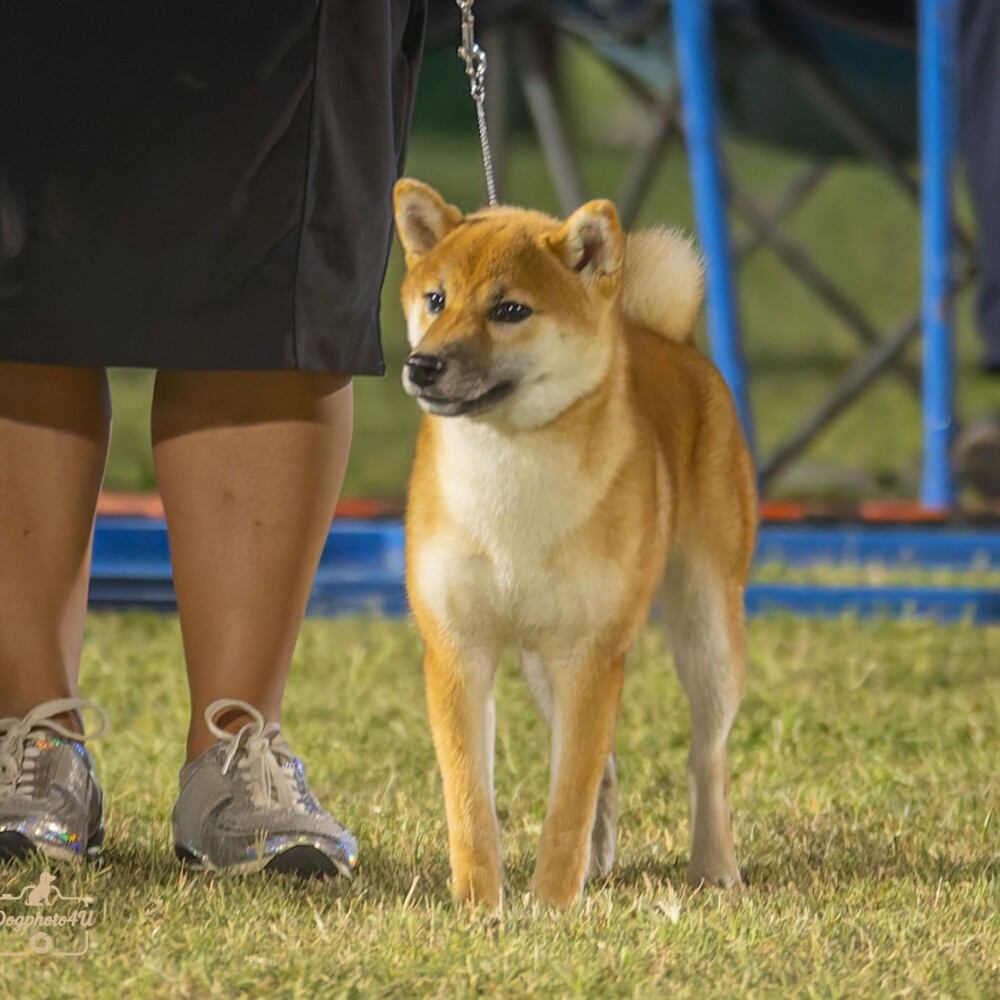 524924175_24691186923843297_3089752598909688721_n 524924175_24691186923843297_3089752598909688721_n