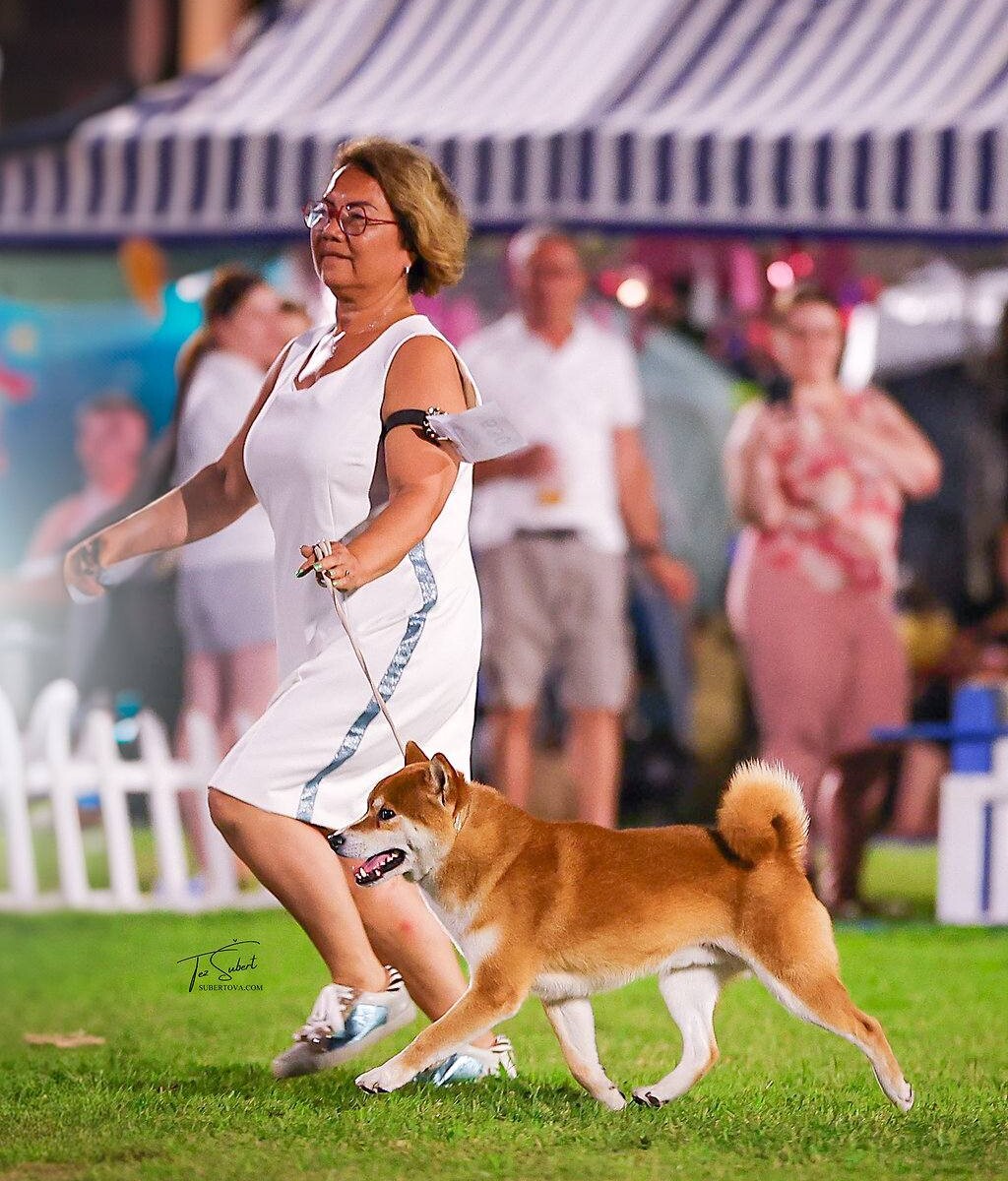 525086721_24690876797207643_2966739939553049510_n 525086721_24690876797207643_2966739939553049510_n