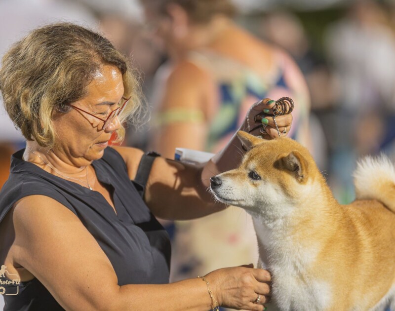 525137753_24691003913861598_6771997806937680314_n