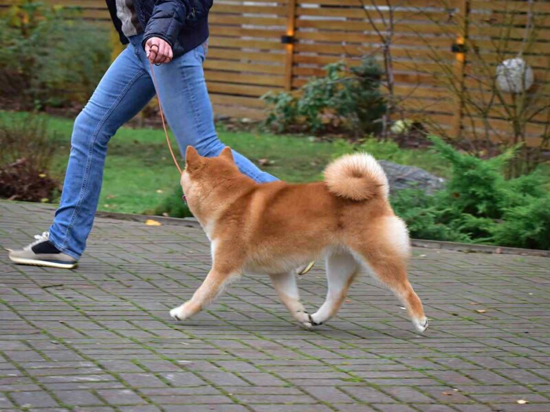 Messenger_creation_EE245CCC-A2DF-42A4-8636-17976111126F