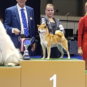 657f1e01-b6a8-4629-8054-0c2c4c0fe965