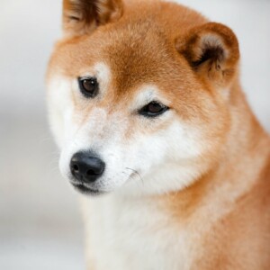 78763096-d75a-4658-950a-7ca6ed232beb