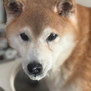 b04a155c-58ff-40fc-89d7-dabbf181b036